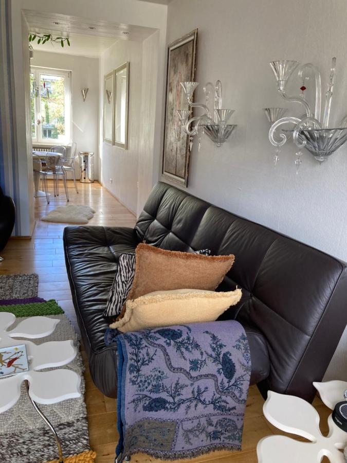 King Size Lounge 76M2 De Confort Au Centre Ville Mulhouse Exteriör bild